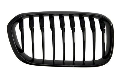 Radiator Grille BLIC 6502-07-0086998P