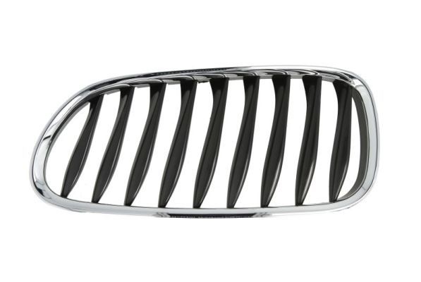 BLIC 6502-07-0089991P Radiator Grille