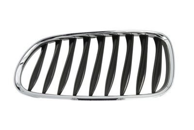 Radiator Grille BLIC 6502-07-0089991P