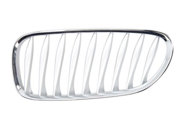 BLIC 6502-07-0089993P Radiator Grille