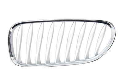 Radiator Grille BLIC 6502-07-0089993P