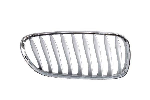 BLIC 6502-07-0089994P Radiator Grille