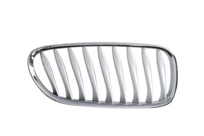 Radiator Grille BLIC 6502-07-0089994P