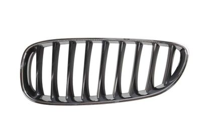 Radiator Grille BLIC 6502-07-0089995P