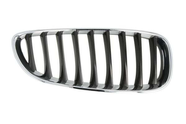 BLIC 6502-07-0089996P Radiator Grille