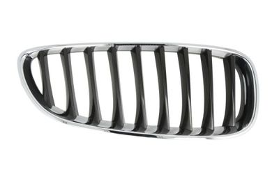 Radiator Grille BLIC 6502-07-0089996P