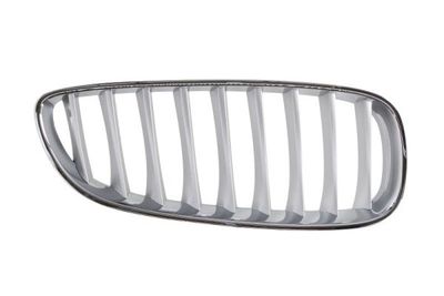 Radiator Grille BLIC 6502-07-0089998P