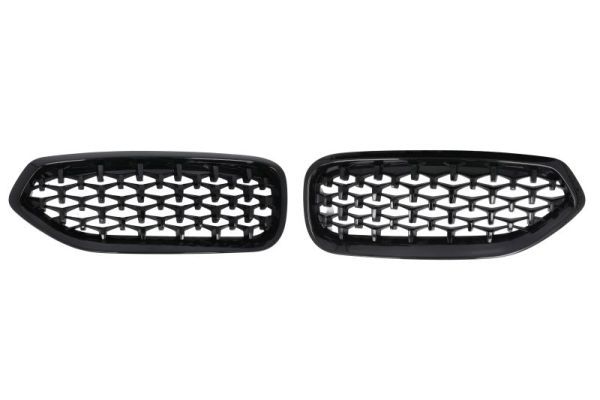 BLIC 6502-07-0089999P Radiator Grille
