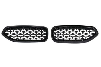 Radiator Grille BLIC 6502-07-0089999P