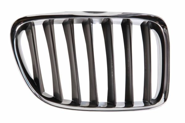 BLIC 6502-07-0092992P Radiator Grille