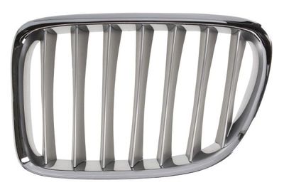 Radiator Grille BLIC 6502-07-0092993P