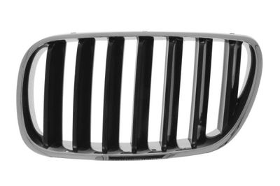 Radiator Grille BLIC 6502-07-00939910P