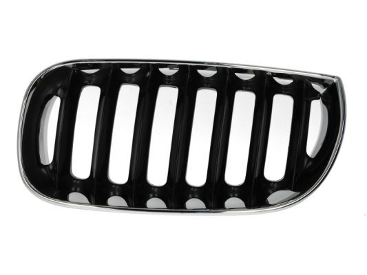 BLIC 6502-07-0093991P Radiator Grille