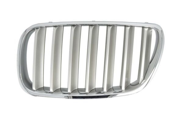 BLIC 6502-07-00939930P Radiator Grille