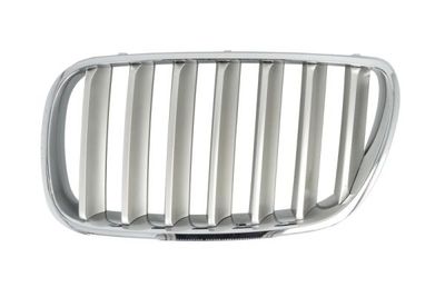 Radiator Grille BLIC 6502-07-00939930P
