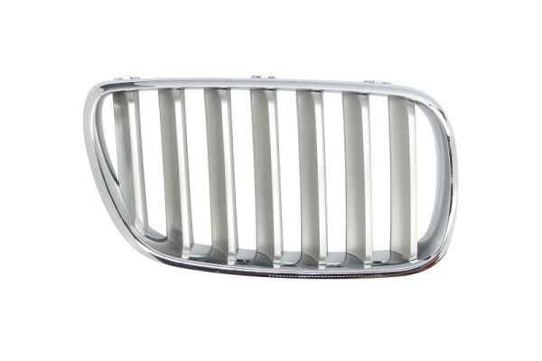 BLIC 6502-07-00939940P Radiator Grille