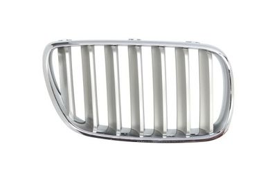 Radiator Grille BLIC 6502-07-00939940P