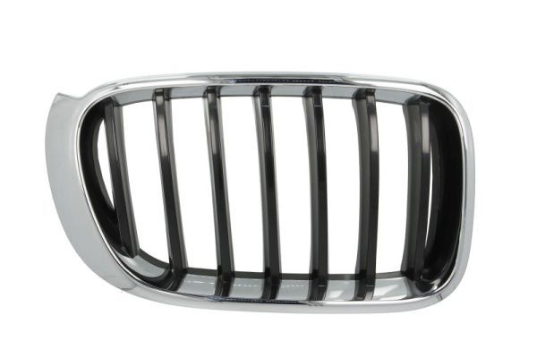 BLIC 6502-07-00939944P Radiator Grille