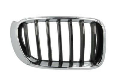 Radiator Grille BLIC 6502-07-00939944P