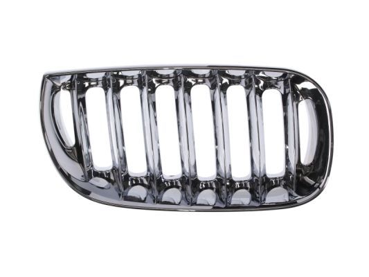 BLIC 6502-07-0093994P Radiator Grille