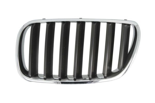 BLIC 6502-07-00939950P Radiator Grille