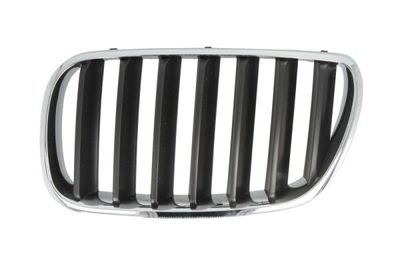 Radiator Grille BLIC 6502-07-00939950P