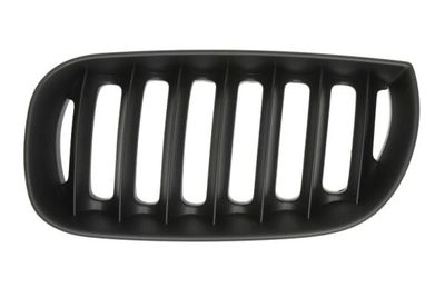 Radiator Grille BLIC 6502-07-0093995P