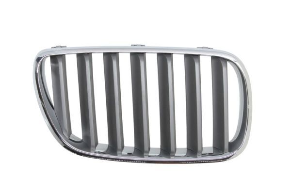 BLIC 6502-07-00939960P Radiator Grille