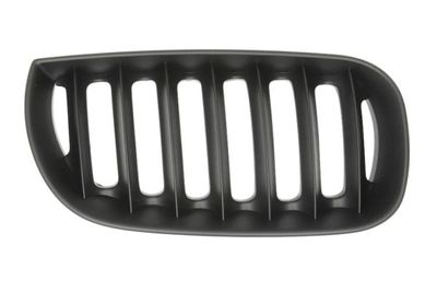 Radiator Grille BLIC 6502-07-0093996P