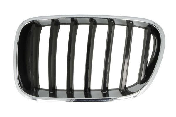 BLIC 6502-07-00939970P Radiator Grille