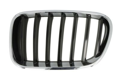 Radiator Grille BLIC 6502-07-00939970P