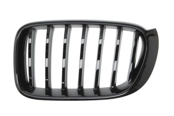 BLIC 6502-07-00939977P Radiator Grille
