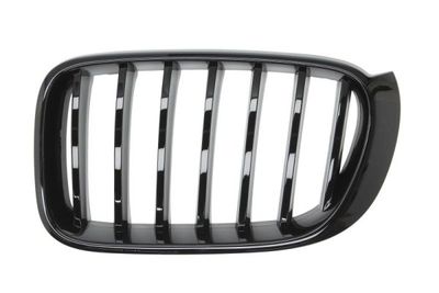 Radiator Grille BLIC 6502-07-00939977P