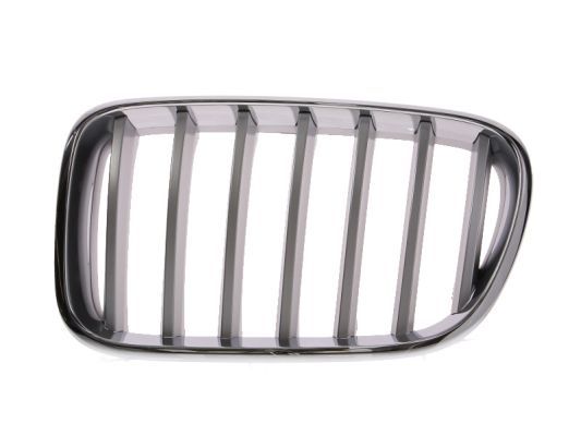 BLIC 6502-07-0093997P Radiator Grille