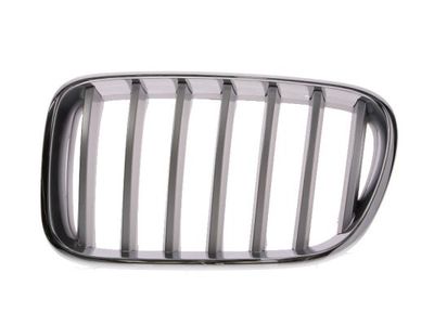 Radiator Grille BLIC 6502-07-0093997P