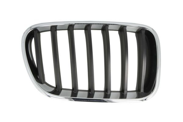 BLIC 6502-07-00939980P Radiator Grille