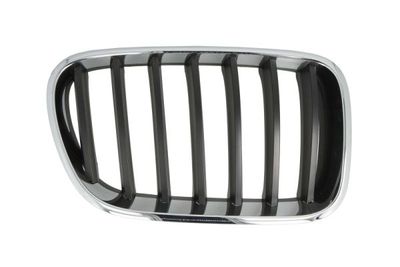 Radiator Grille BLIC 6502-07-00939980P