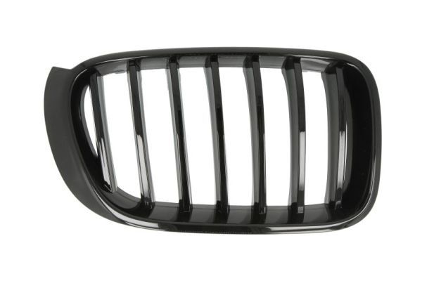 BLIC 6502-07-00939988P Radiator Grille
