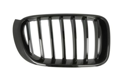 Radiator Grille BLIC 6502-07-00939988P