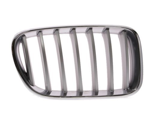 BLIC 6502-07-0093998P Radiator Grille