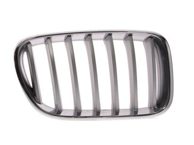 Radiator Grille BLIC 6502-07-0093998P