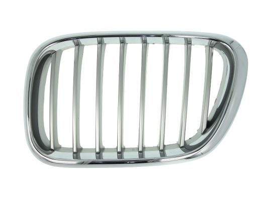 BLIC 6502-07-0095991P Radiator Grille