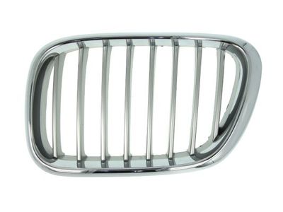 Radiator Grille BLIC 6502-07-0095991P