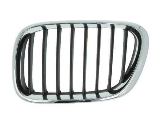 BLIC 6502-07-0095993P Radiator Grille