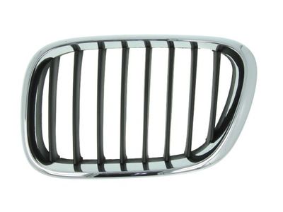 Radiator Grille BLIC 6502-07-0095993P