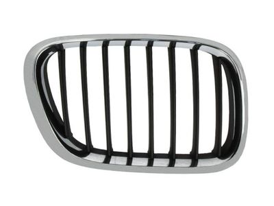 Radiator Grille BLIC 6502-07-0095994P