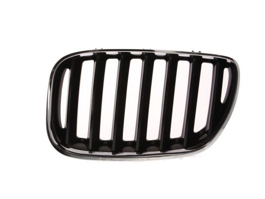 BLIC 6502-07-0095995P Radiator Grille
