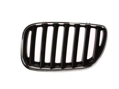 Radiator Grille BLIC 6502-07-0095995P