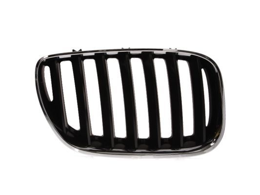 BLIC 6502-07-0095996P Radiator Grille