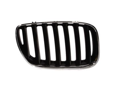 Radiator Grille BLIC 6502-07-0095996P